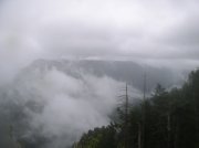 5.7.06 Wauna Point 022 